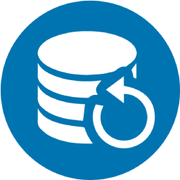 Perfect Backup logo